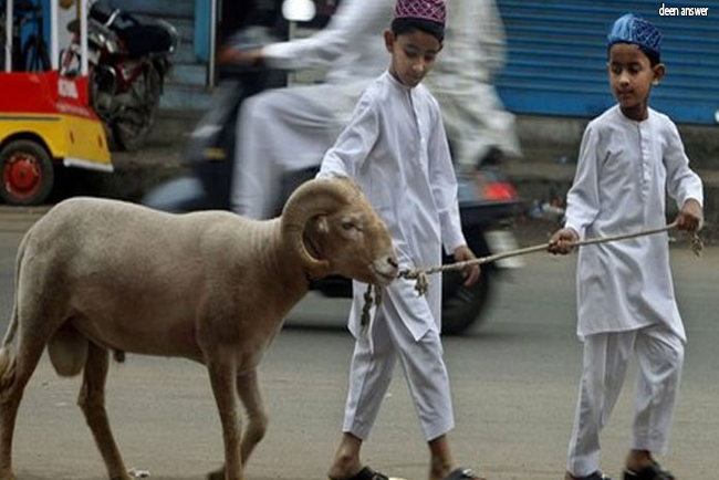 কুরবানি