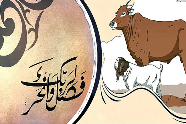 কোরবানির জন্য সেরা পশু